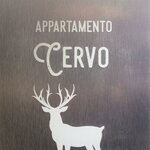 Foto di Cervo | © SEDA di Bottamedi Mara