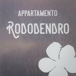 Foto di Rododendro | © SEDA di Bottamedi Mara