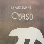 Foto di Orso Bruno | © SEDA di Bottamedi Mara