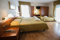 868838_IMG_ICG