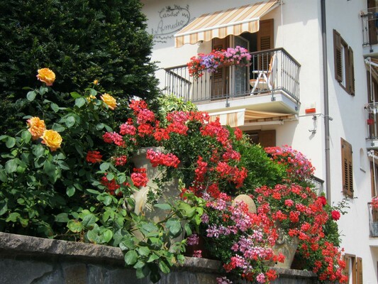 CASA AMEDEO