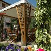 Zdjęcie Apartament