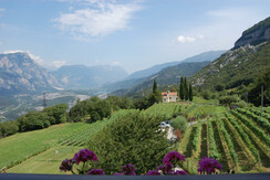 Copia di balcone Uva DSC_0054
