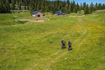 Sum_bike_passo_coe_2020_Gober-4