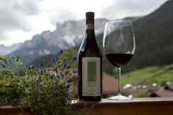 particolari  Pordoi Mp 2