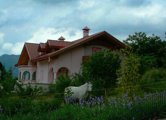 esterno casa con giardino