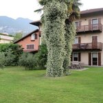 Foto di Villa Turrini con grande giardino