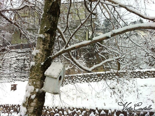 giardino-neve03-vista-castello