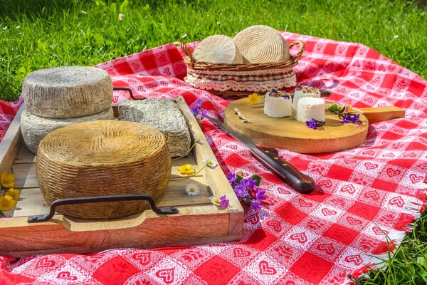 Sum_formaggio_caprino_prodotti_tipici_2020-10
