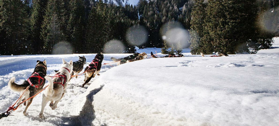 Sneeuw voor iedereen ook voor de niet skiër!
