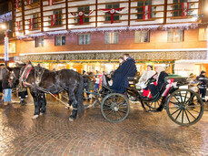 Habsburg Karneval