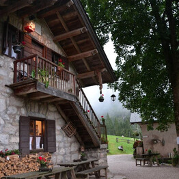 #ALBE IN MALGA - Malga Canali