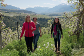 Aprile Dolce Fiorire