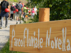 Dal Canyon alla Cantina: fior fior di colori e sapori