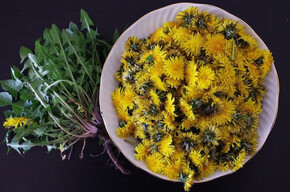 Aprile Dolce Fiorire