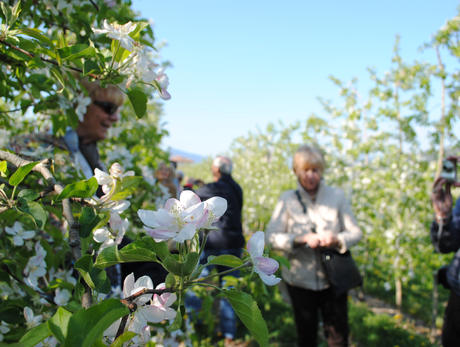 Vuoi conoscere il lavoro del contadino?
