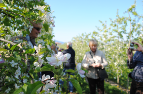 Vuoi conoscere il lavoro del contadino?