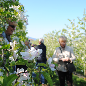 Vuoi conoscere il lavoro del contadino?