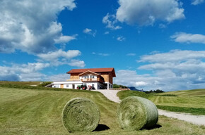 Il mestiere dell'allevatore casaro