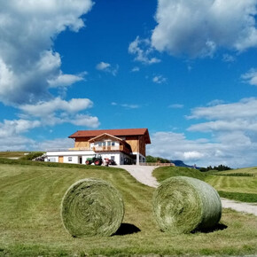 Il mestiere dell'allevatore casaro