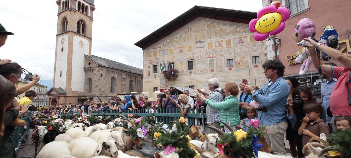 De traditie van de terugkeer uit de alpenweides