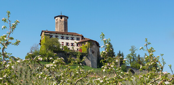 Kunst und Kultur in Trentino - Val di Non | © Castel-Valer-Apt-Val-di-Non