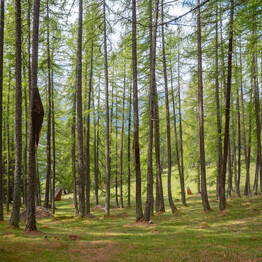  Mediterranean flair and peaceful mountain magic 