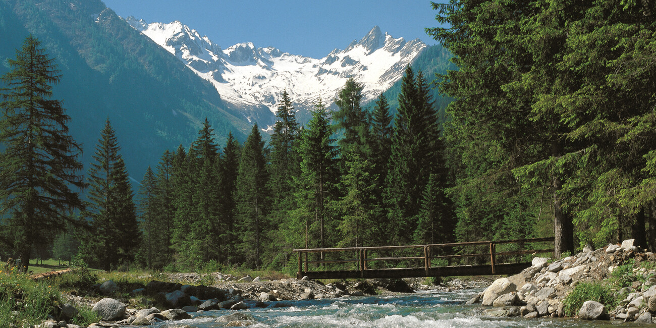 Switch off on holiday… and gaze at the stars  #3