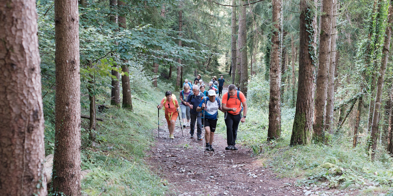 THE ULTIMATE SOLO JOURNEY: EXPLORE THE ANCIENT TRAILS OF THE ITALIAN REGION OF TRENTINO #1