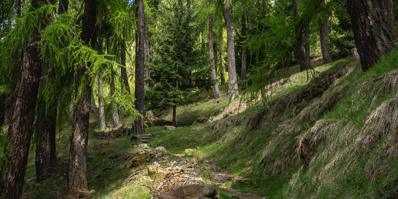 Hidden Gems im Trentino: Mediterranes Lebensgefühl und stille Bergwelten - Drei Geheimtipps für den Sommer #3