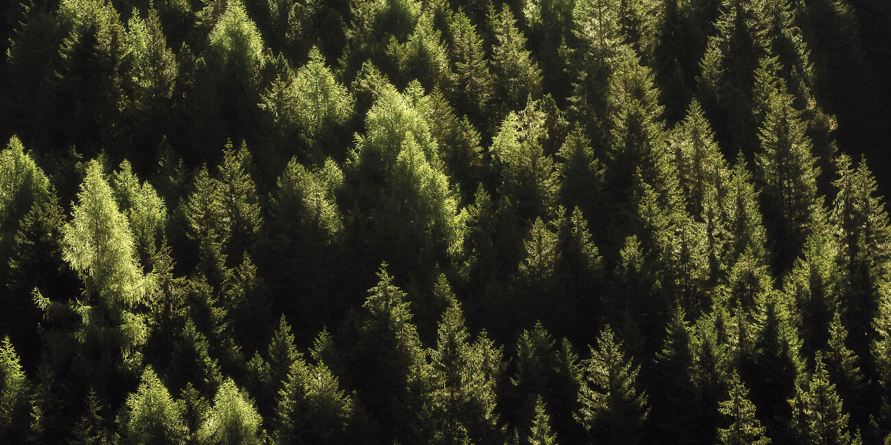 Region, Bevölkerung, Natur, Wirtschaft, Kultur und Tourismus  TRENTINO: ZAHLEN, DATEN UND FAKTEN #2