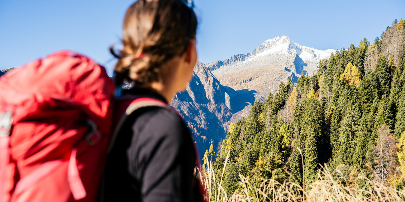 Adventure Awakens: Hiking and Cycling in Trentino this Spring New gravel bike trails, wildflower hikes and high-altitude views await in Italy’s quiet season #3