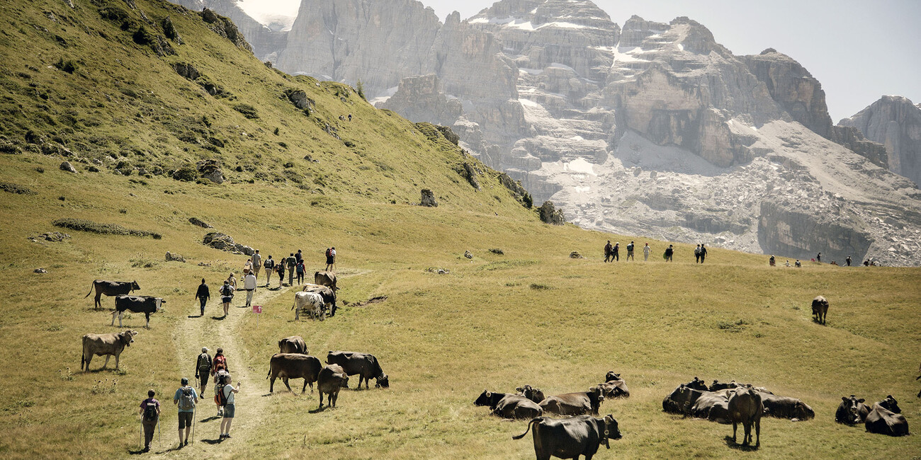 Jack Savoretti cantautore sofisticato sulle cime del Brenta #2 | © photo Daniele Lira