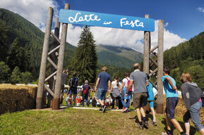 Estate in Trentino con il latte protagonista
