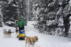 Insolitamente neve, le esperienze da non perdere