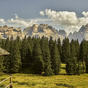 Informatie voor pers