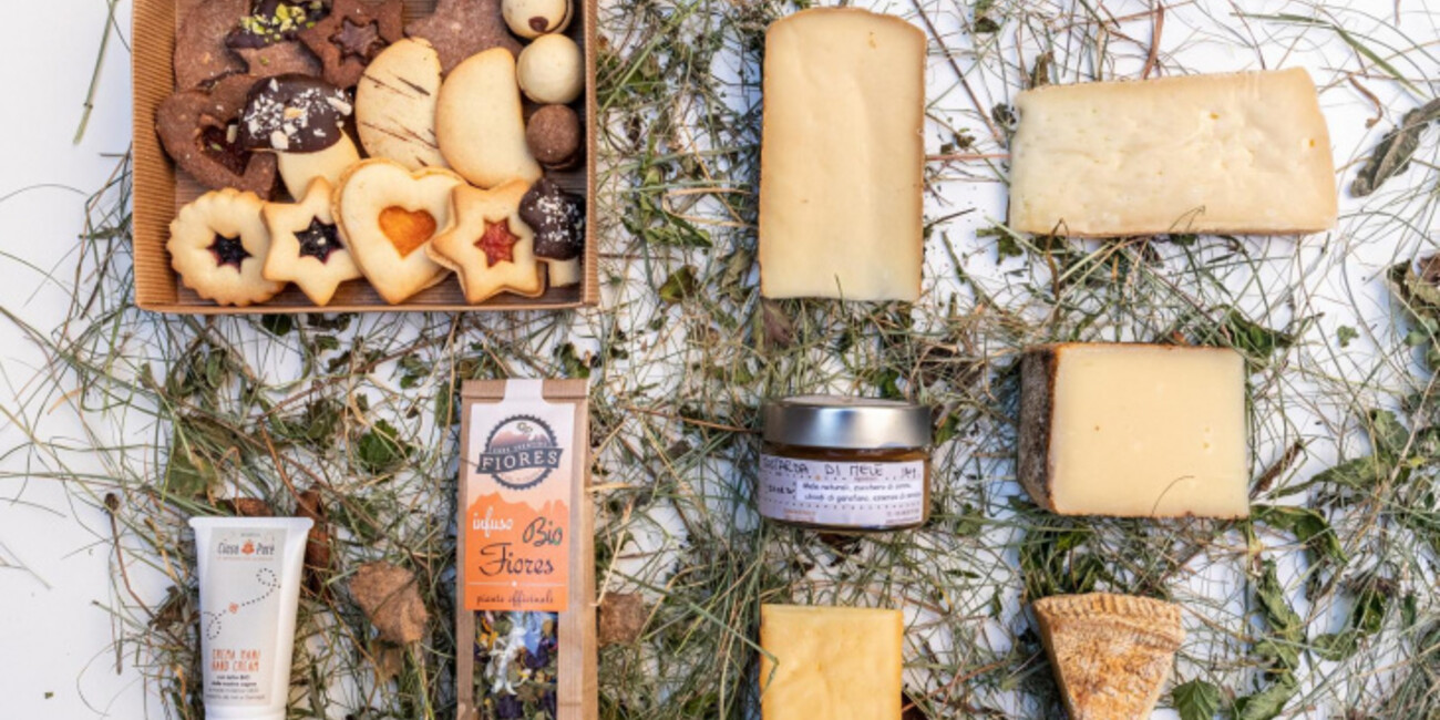 A NATALE IL TRENTINO SI METTE ANCHE SOTTO L’ALBERO  #1