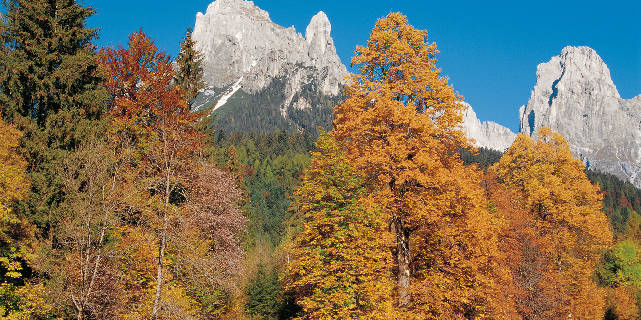 ОСЕНЬ НА ВЕРШИНЕ В ОКРУЖЕНИИ КРАСОК И ТИШИНЫ #3