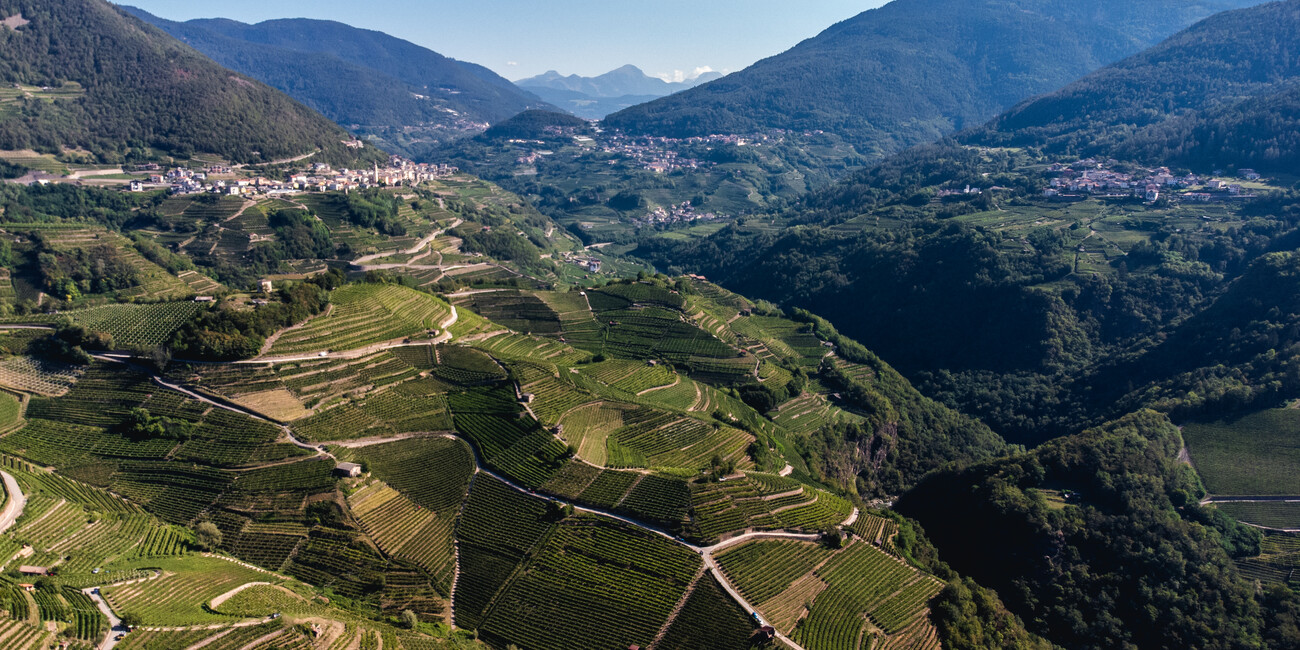 BOLLICINE DI MONTAGNA, ECCELLENZA INTERNAZIONALE #3