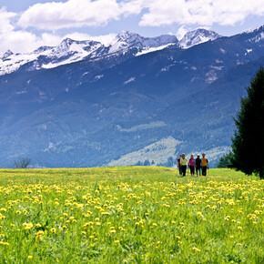 ПУТЕШЕСТВИЕ СРЕДИ САМЫХ КРАСИВЫХ...