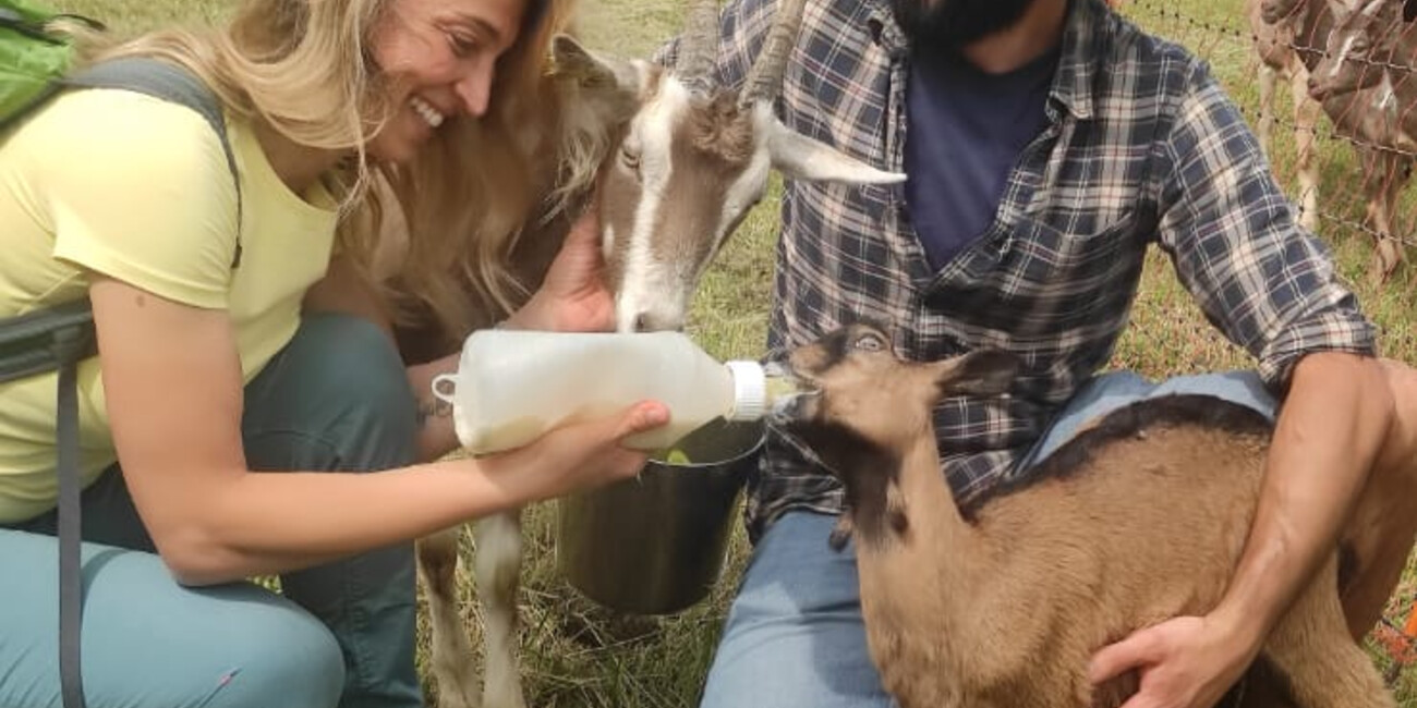 CON LINEA VERDE SENTIERI SULL’ALPE CIMBRA  #2