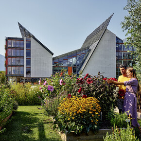 Cosa c’è di nuovo al museo? 