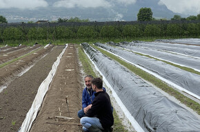 A MELAVERDE PUNTATA DEDICATA ALLA PIANA ROTALIANA