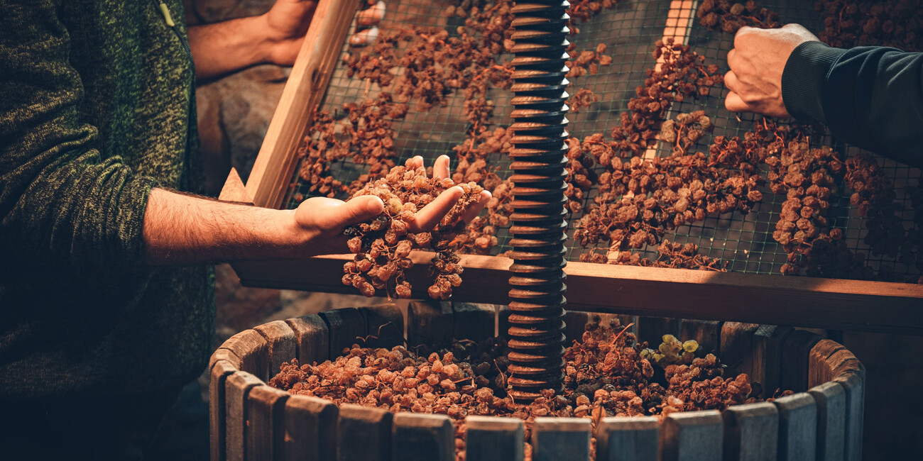 OCCASIONI PER VIVERE LA BELLA STAGIONE IN TRENTINO  #3