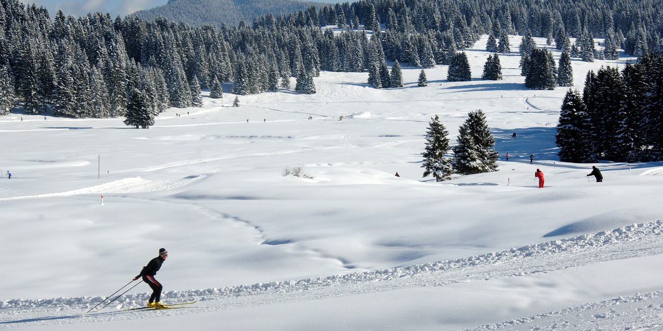 Questa neve è straordinaria #2