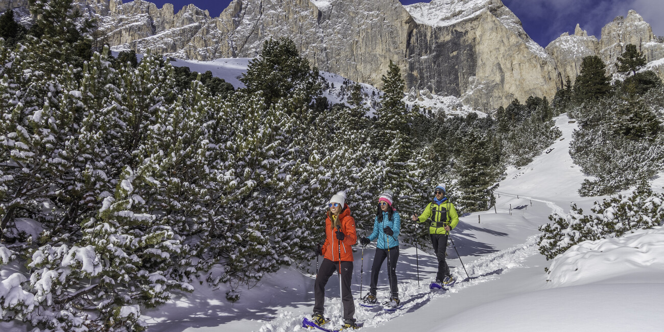 Questa neve è straordinaria #1