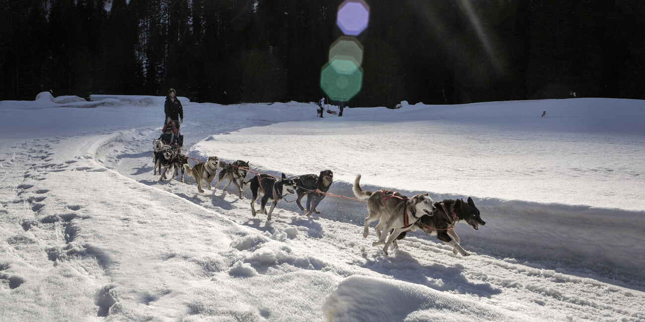 Avventure bianche  #2