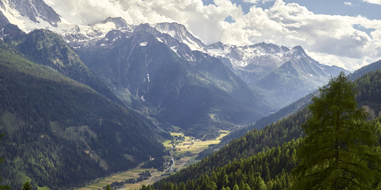 “VERMIGLIO”: UN RACCONTO TRA NATURA, CULTURA E CINEMA #4