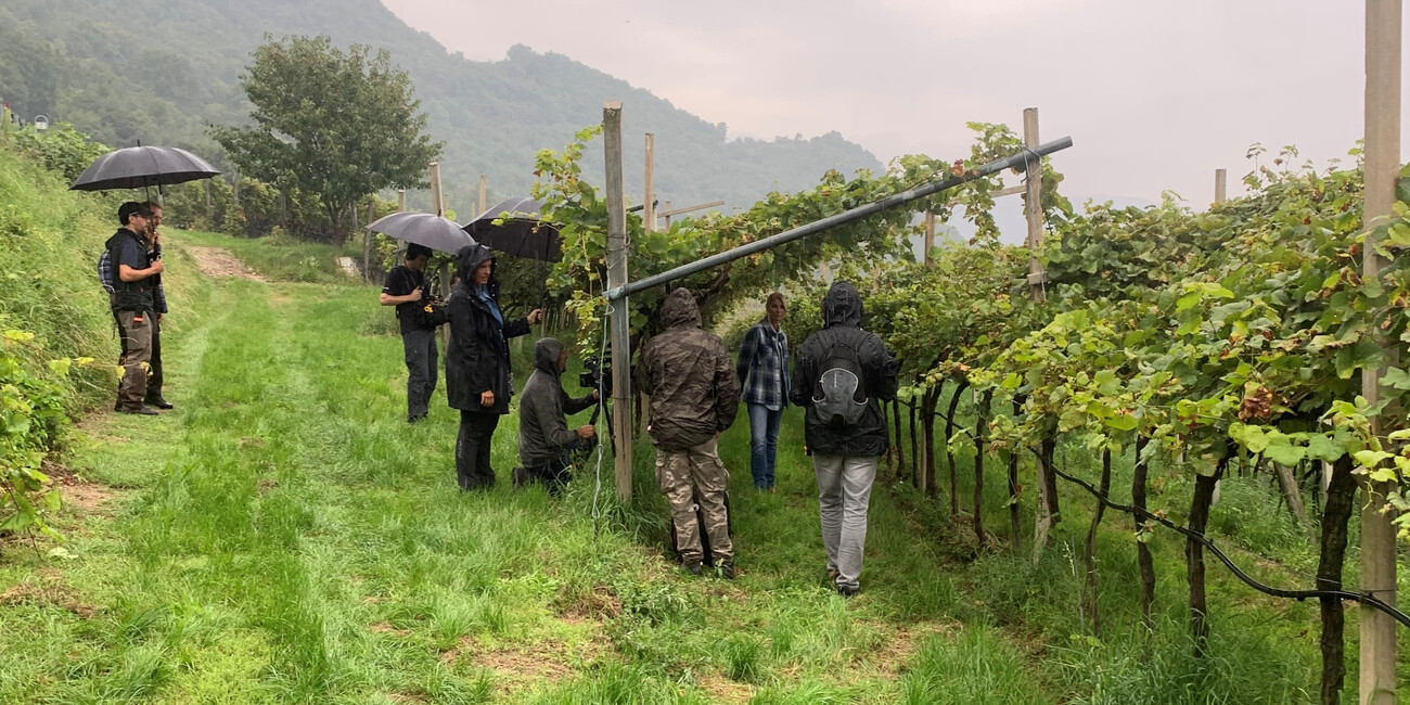 Le Bollicine di Montagna trentine a Melaverde #2