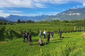 Le Bollicine di Montagna trentine a Melaverde